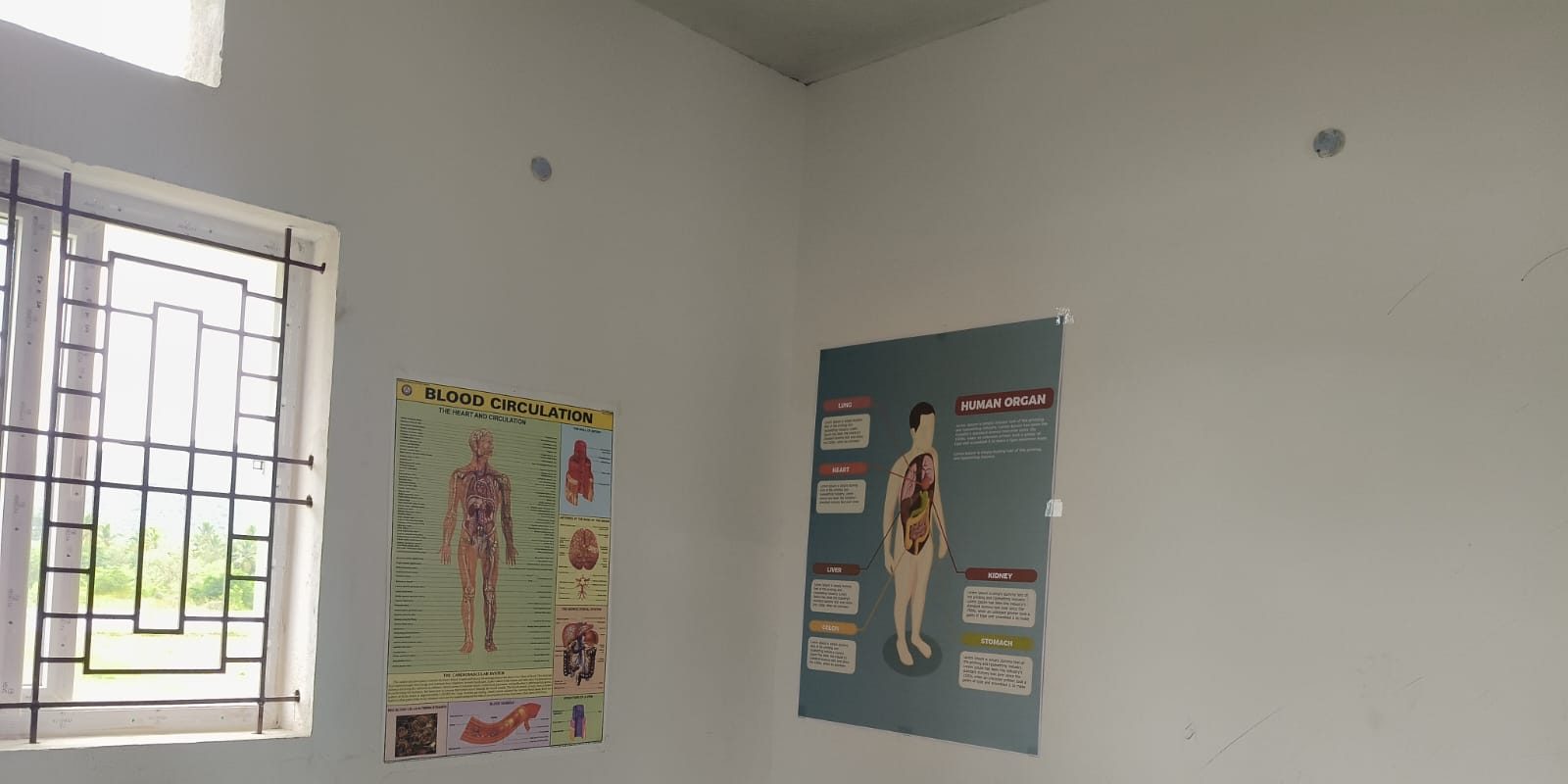 Blood circulation and human organ teaching charts on the lab wall